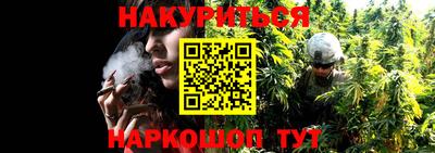 винт Краснодар