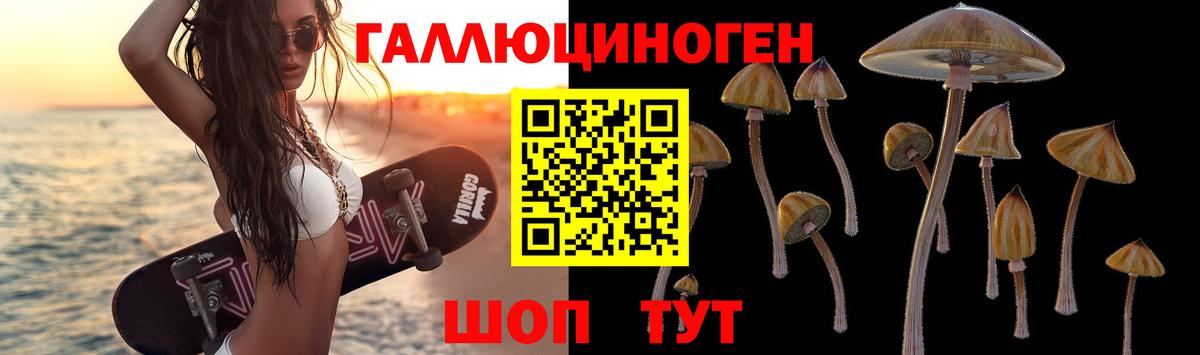 Галлюциногенные грибы Magic Shrooms  Псилоцибиновые грибы мицелий  Вход с VPN  Благовещенск 
